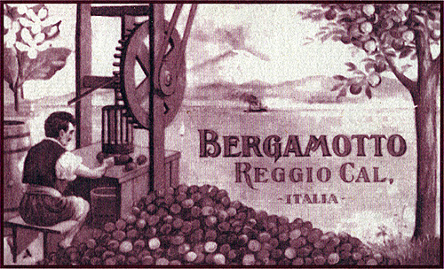 Etichetta ottocentesca del Bergamotto di Calabria