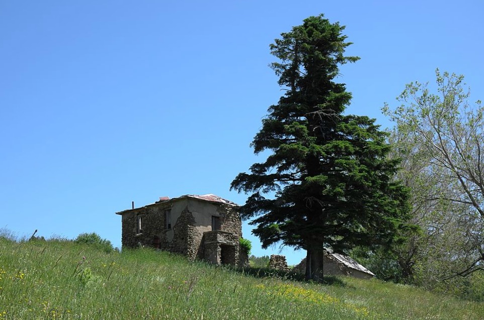 Calabria incontaminata: alla scoperta dell’Alta Valle del Tacina