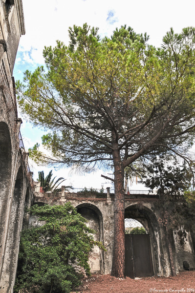 Calabria jonica: a Rossano, due antiche masserie, lo storico Caffè Tagliaferri, il pane di Forello e la cantina Marinelli
