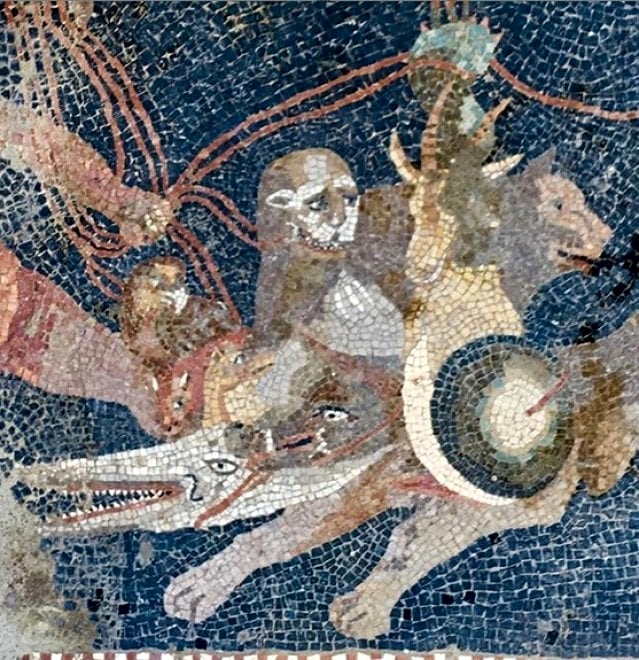 Casa di Orione, mosaici