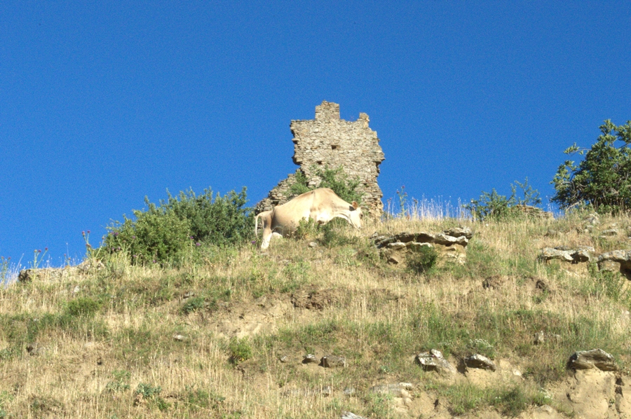 Castello di Uggiano, da sei secoli sentinella del silenzio