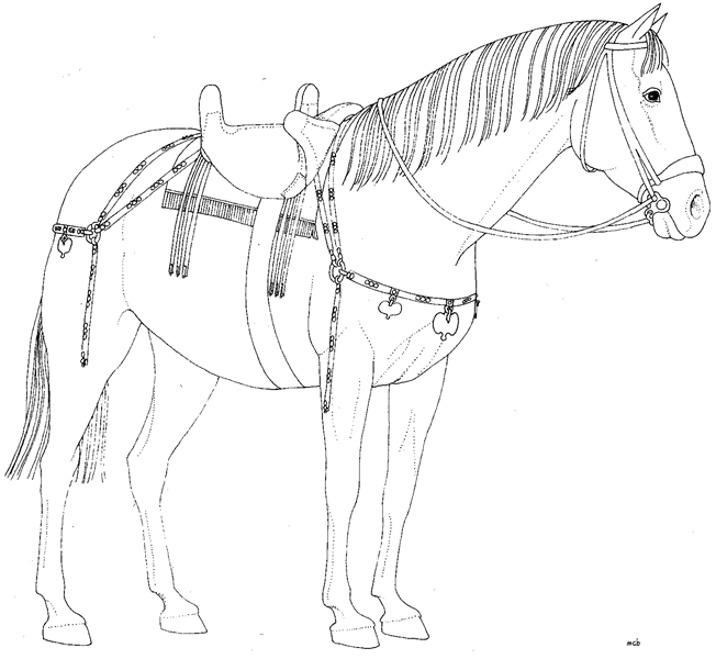 Cavallo a Pompei
