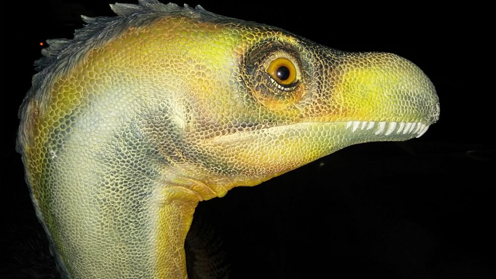 Dai dinosauri alle origini dell'uomo: a Lizzano un emozionante viaggio nella Preistoria