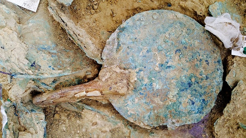 Eccezionale scoperta nel sud della Grecia: ritrovata la ricca sepoltura di un guerriero Miceneo