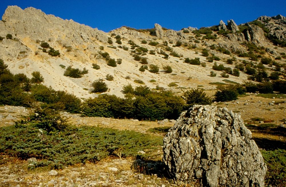 Il Parco Naturale delle Madonie entra nel patrimonio UNESCO dei Geoparks