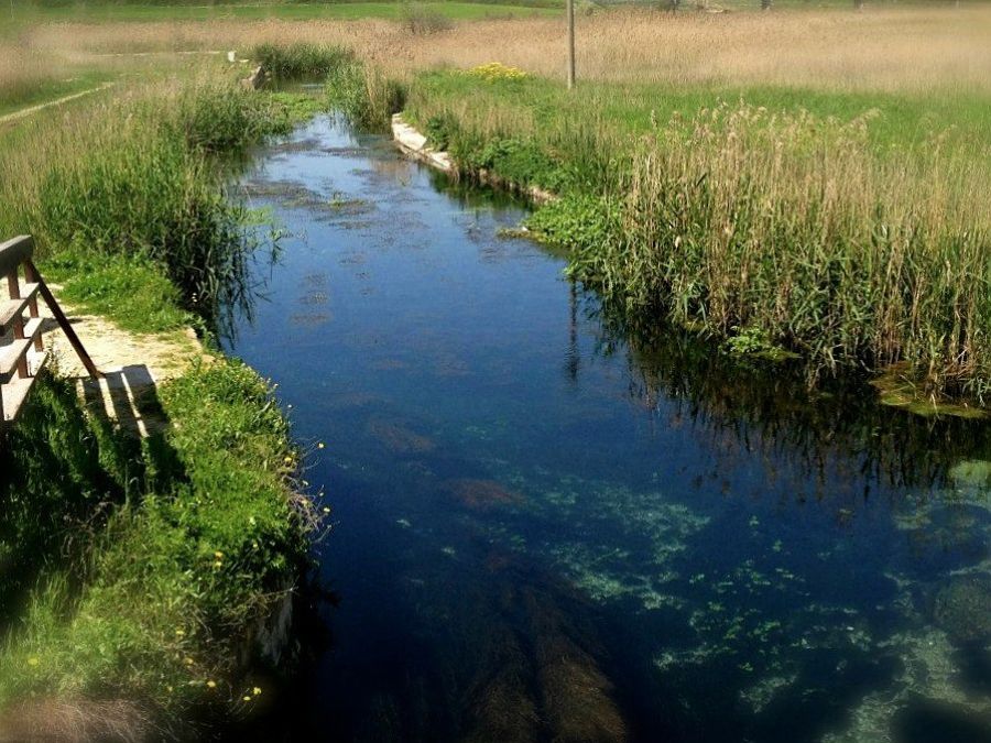 Il tarantino Galeso: il fiume che fece sognare i poeti, oggi in abbandono