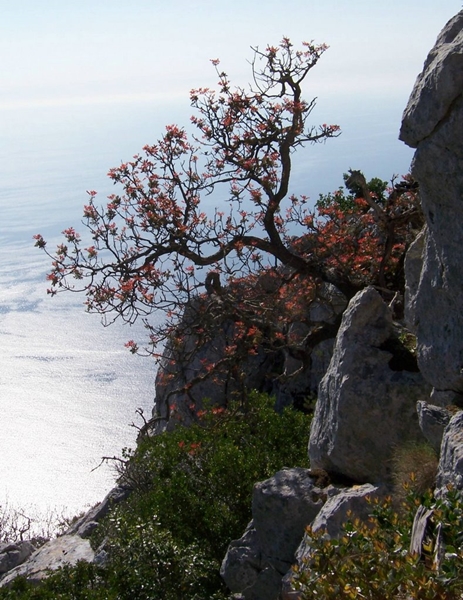 La sfolgorante Sardegna di Roberto Cossu