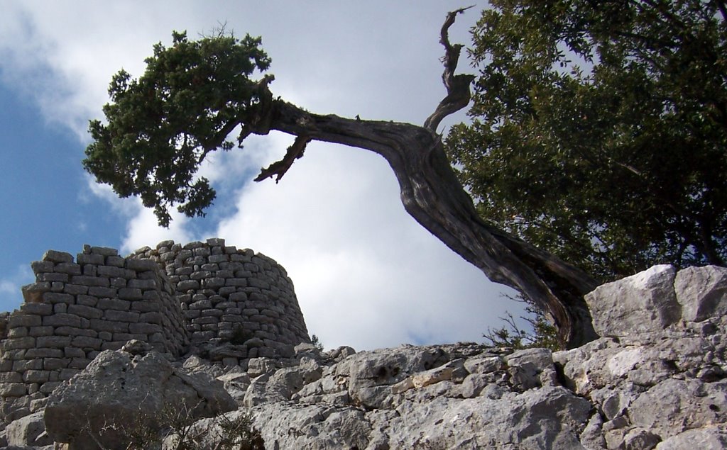 La sfolgorante Sardegna di Roberto Cossu