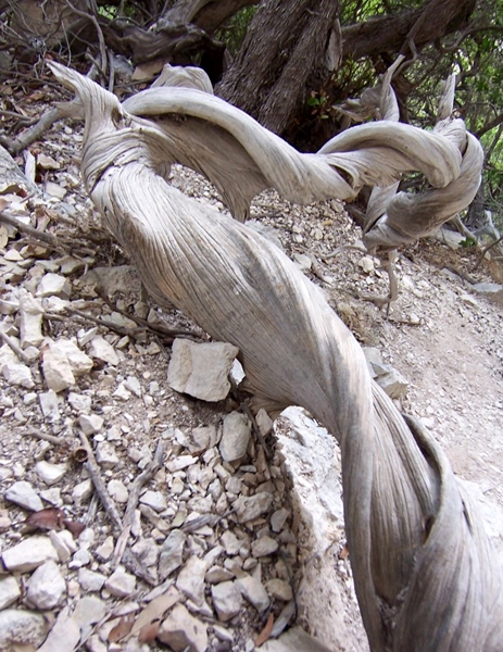 La sfolgorante Sardegna di Roberto Cossu