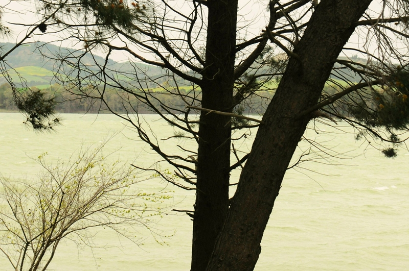 Lago di S. Giuliano: l'oasi del silenzio