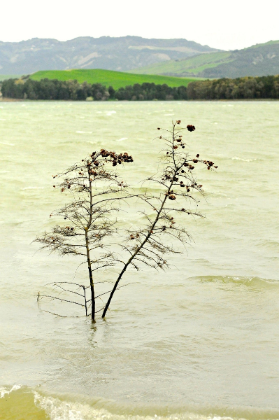 Lago di S. Giuliano: l'oasi del silenzio