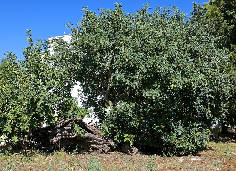 Masseria Serra dell'Isola: lo charme di un'antica dimora di campagna a Mola di Bari