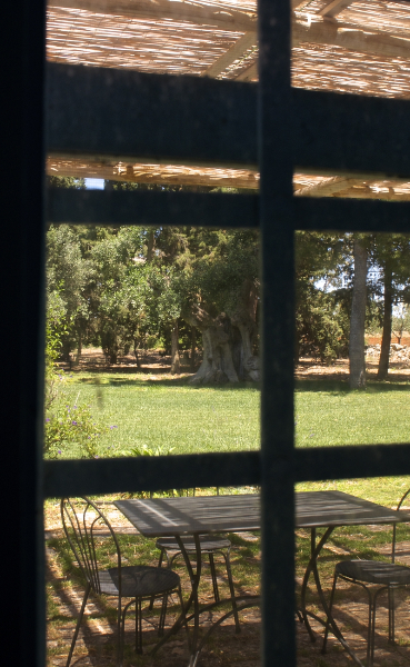 Masseria Serra dell'Isola: lo charme di un'antica dimora di campagna a Mola di Bari