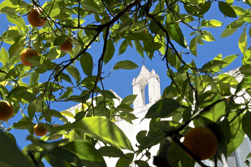 Masseria Serra dell'Isola: lo charme di un'antica dimora di campagna a Mola di Bari