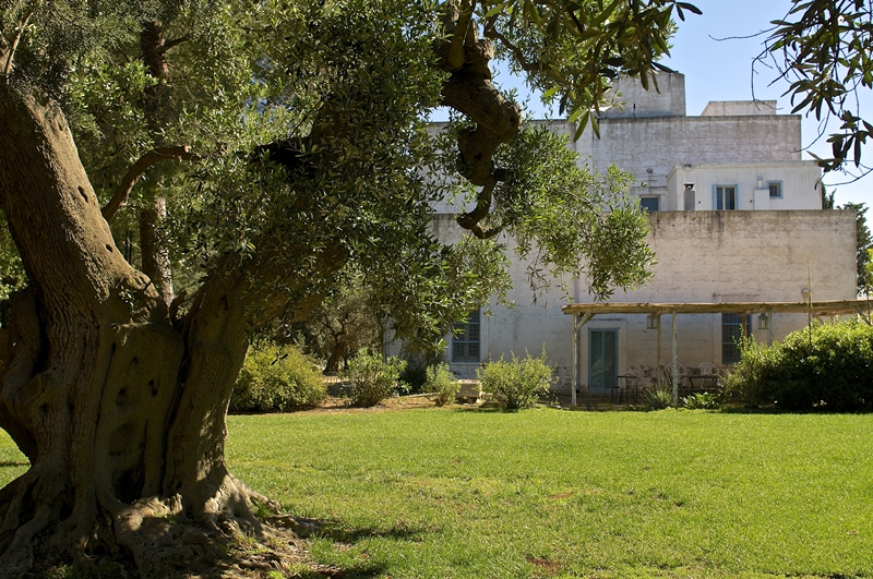 Masseria Serra dell'Isola: lo charme di un'antica dimora di campagna a Mola di Bari