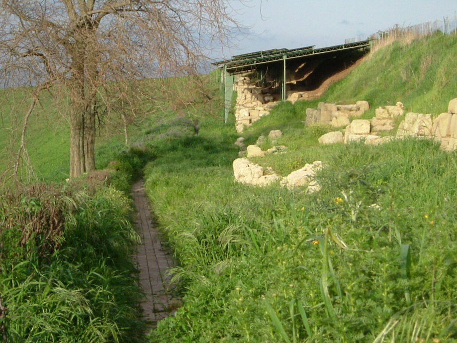 Mura Greche di Vibo Valentia: un patrimonio minacciato dal degrado