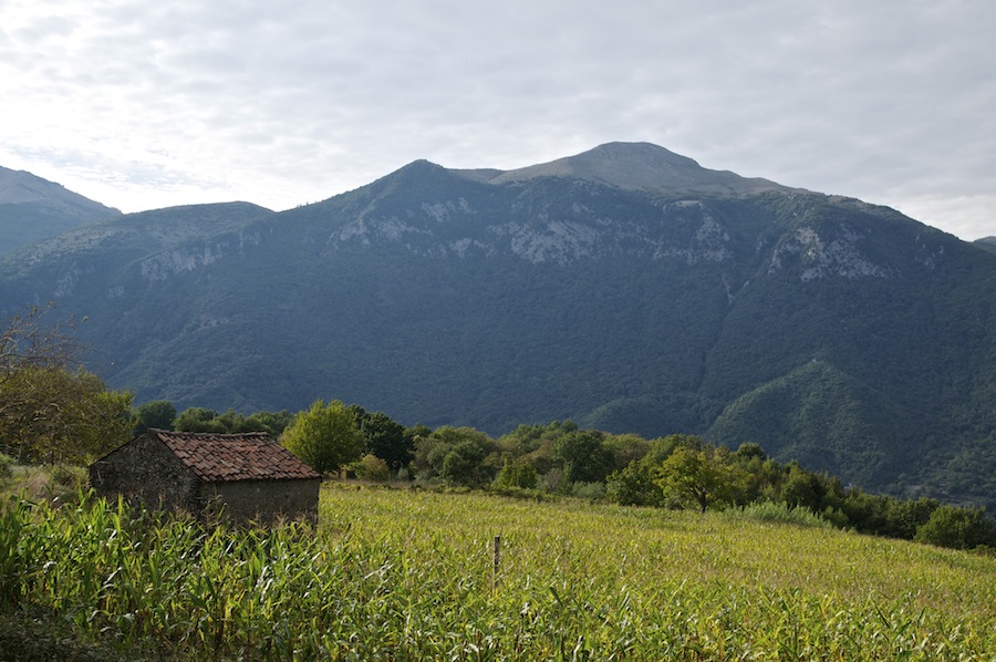 Papasidero e la Grotta del Romito