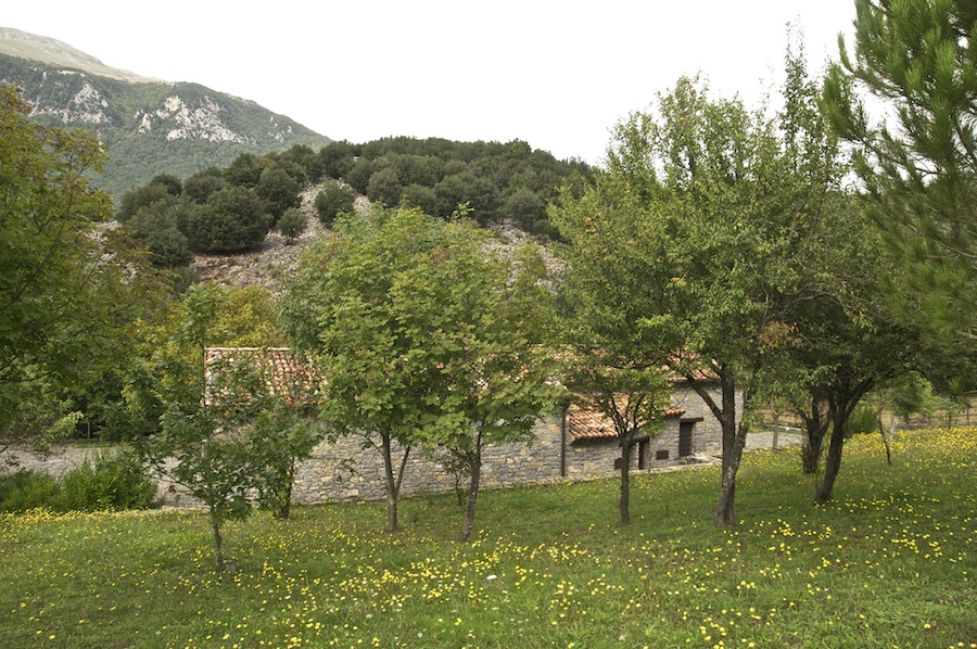 Papasidero e la Grotta del Romito