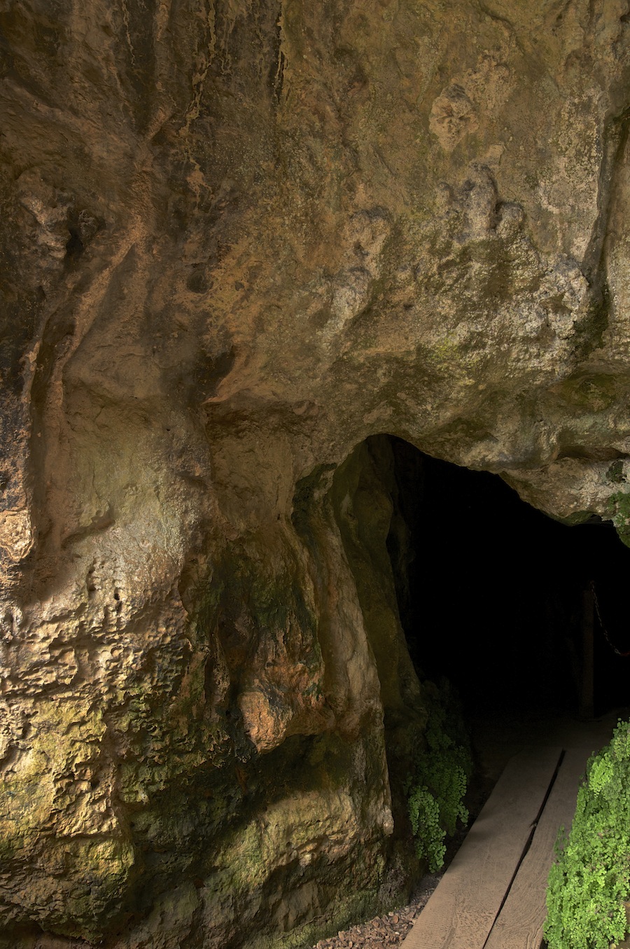 Papasidero e la Grotta del Romito