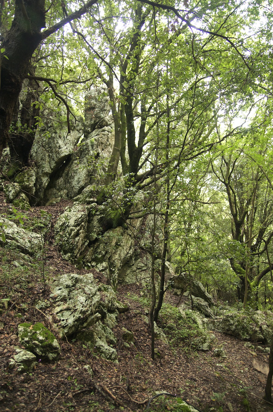 Papasidero e la Grotta del Romito