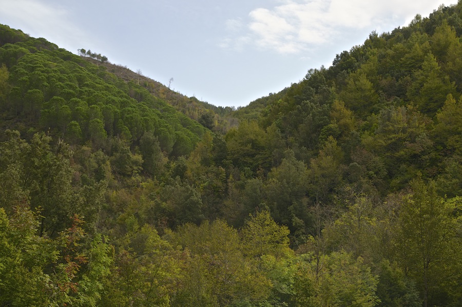 Papasidero e la Grotta del Romito