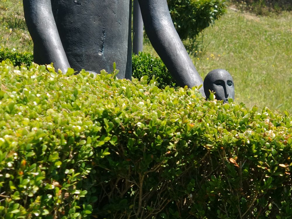 Parco della Biodiversità Mediterranea 1