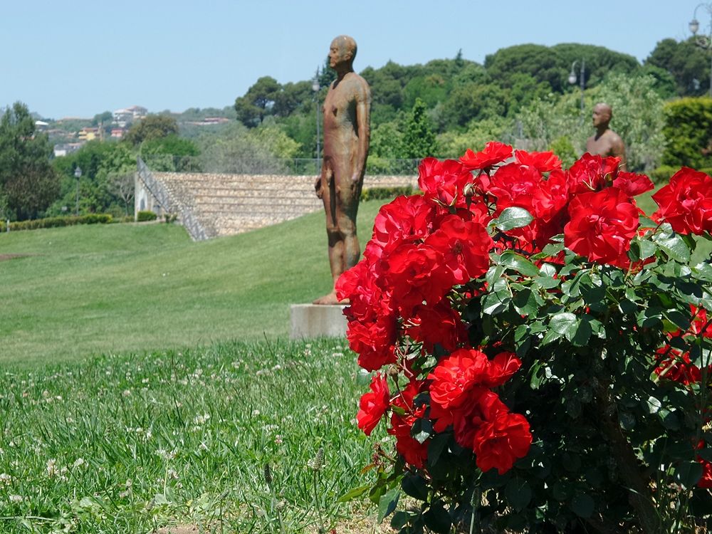 Parco della Biodiversità Mediterranea 1