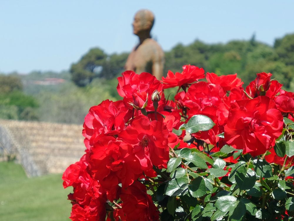 Parco della Biodiversità Mediterranea 1