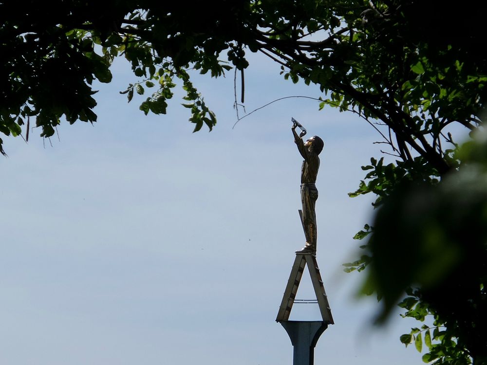 Parco della Biodiversità Mediterranea 1