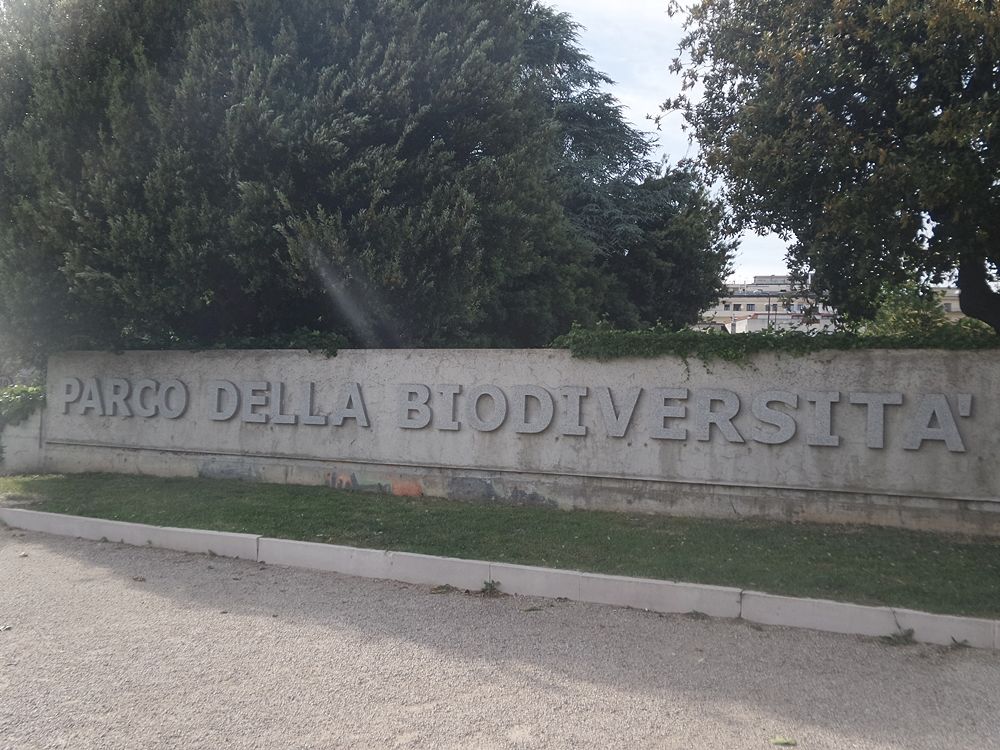 Parco della Biodiversità Mediterranea 1