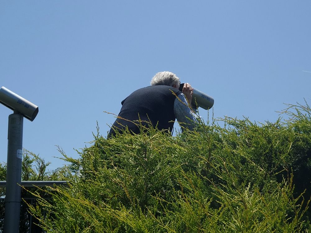 Parco della Biodiversità Mediterranea 2