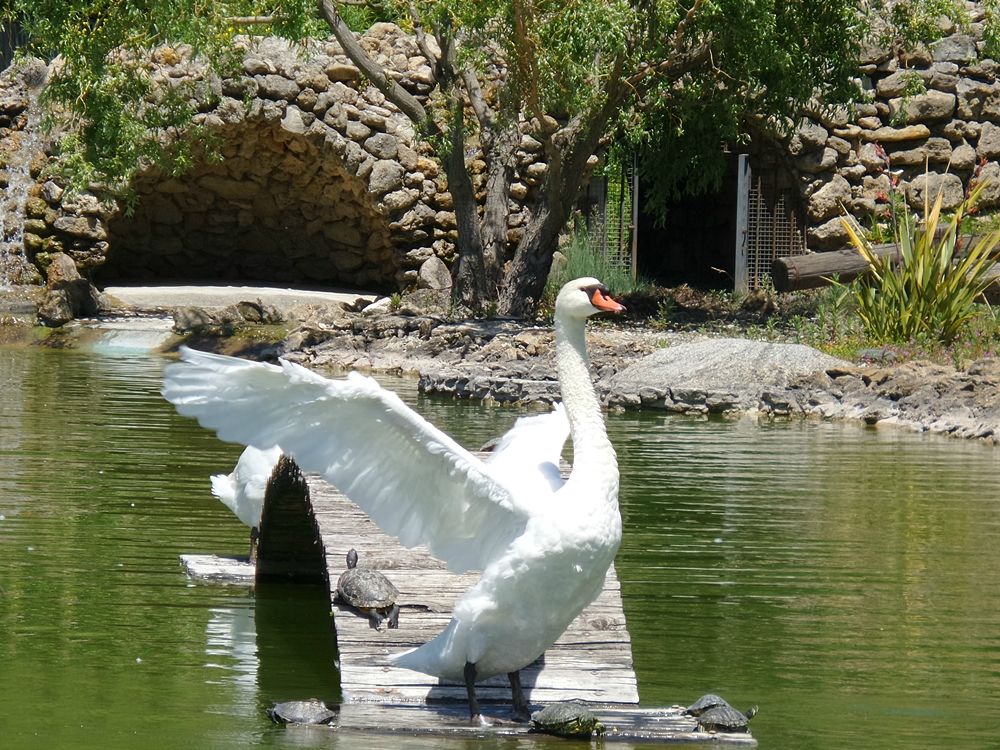 Parco della Biodiversità Mediterranea 2