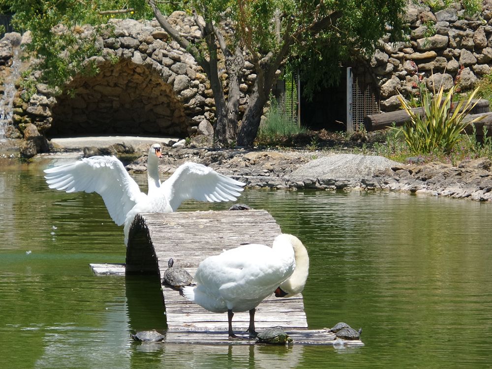 Parco della Biodiversità Mediterranea 2