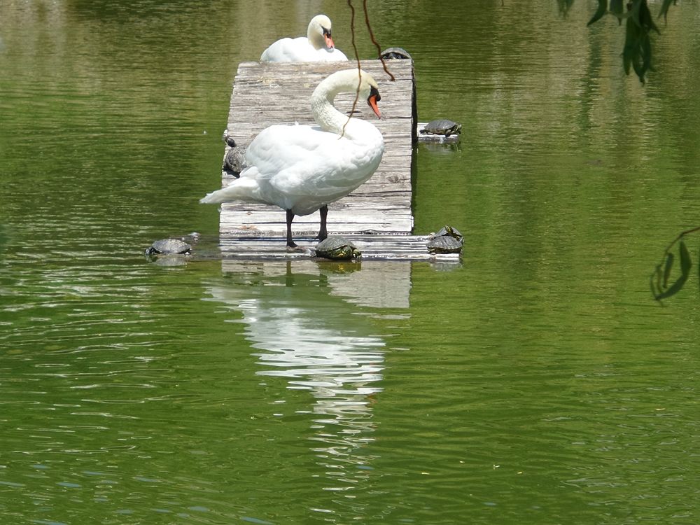 Parco della Biodiversità Mediterranea 2