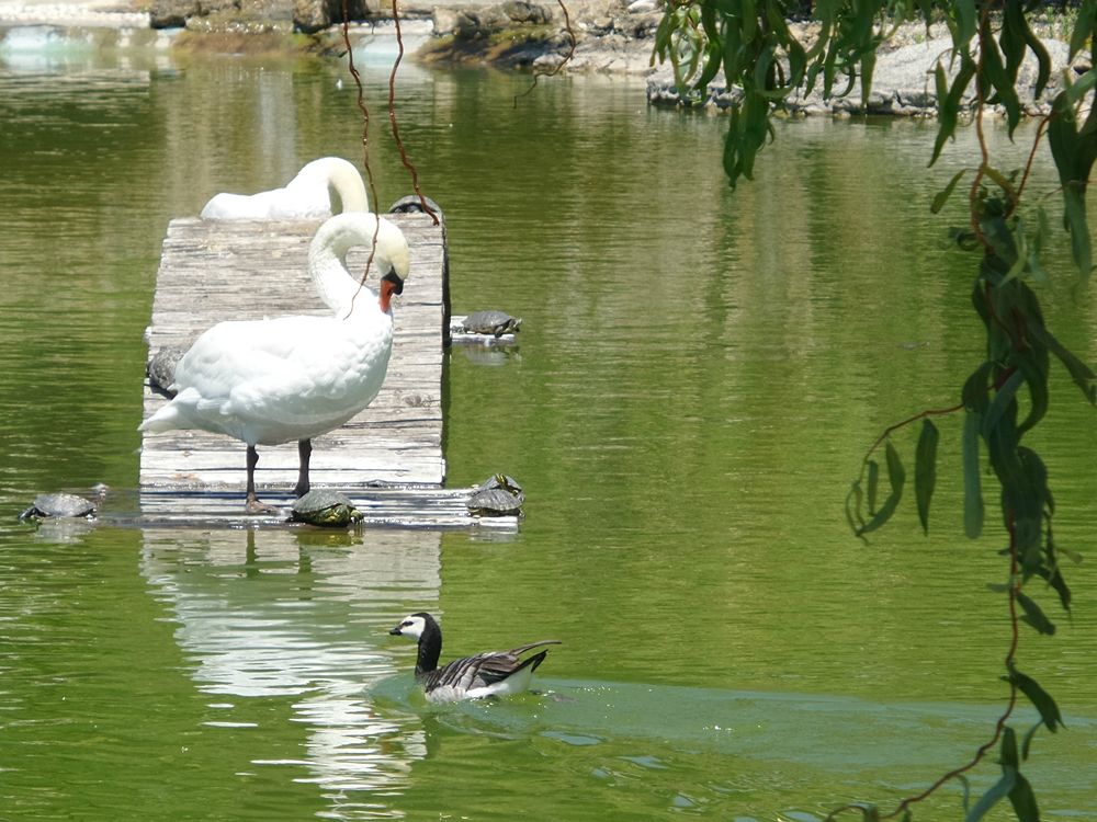 Parco della Biodiversità Mediterranea 2