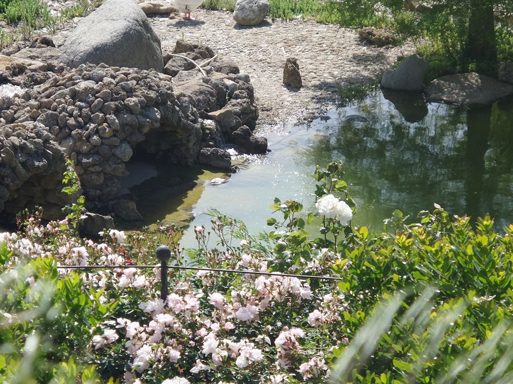 Parco della Biodiversità Mediterranea 3