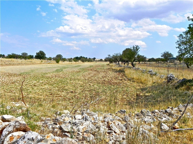 Pellegrina in Puglia: il racconto per immagini di Mara Catani