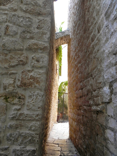 Pellegrina in Puglia. Un racconto per immagini di Mara Catani - 2