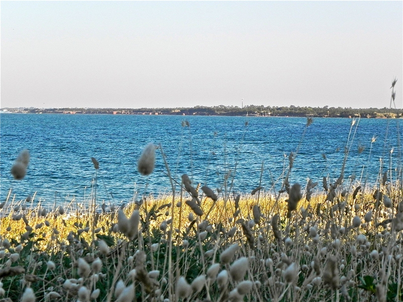 Pellegrina in Puglia. Un racconto per immagini di Mara Catani - 2