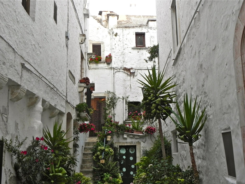 Pellegrina in Puglia. Un racconto per immagini di Mara Catani - 2