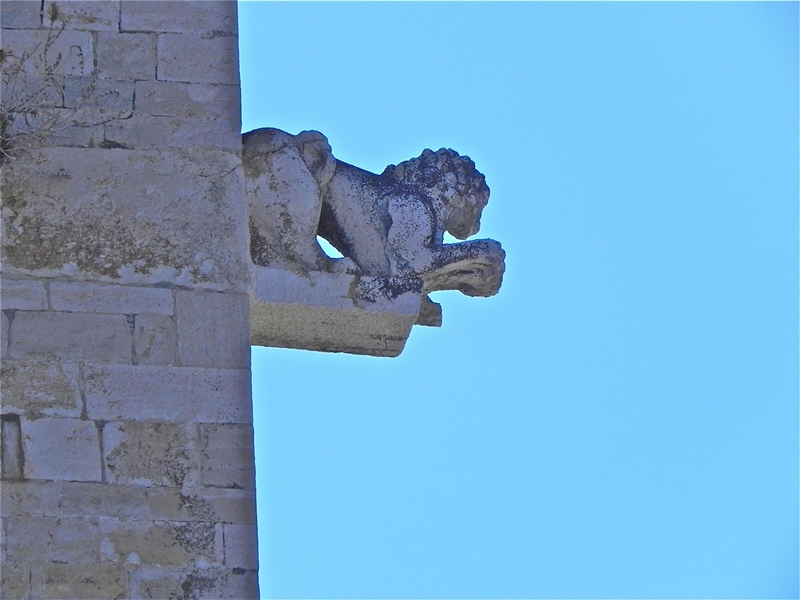 Pellegrina in Puglia. Un racconto per immagini di Mara Catani - 2