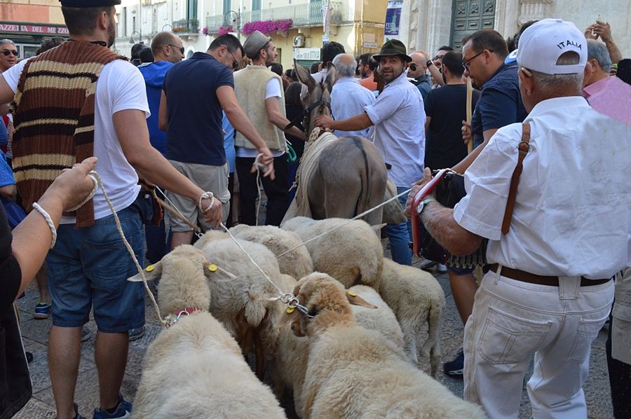Questa mattina a Matera: la processione dei pastori apre i festeggiamenti della Madonna della Bruna