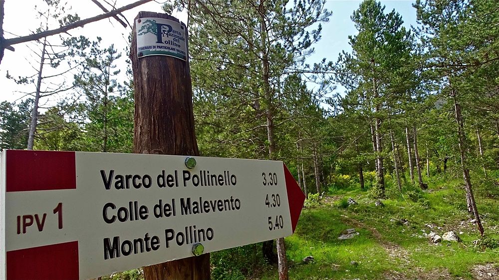 Si svolge nel Parco Nazionale del Pollino l’VIII Conferenza Nazionale dei Geoparchi italiani