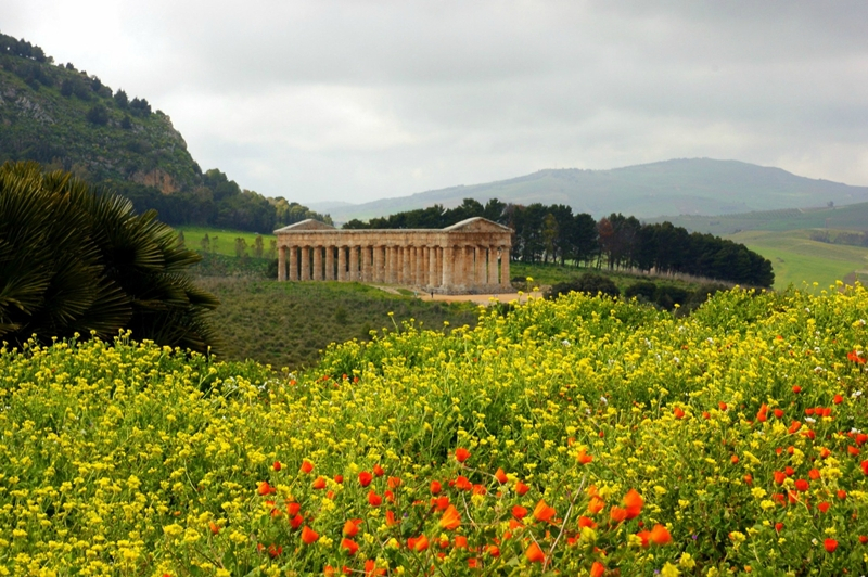 Il tempio di Segesta a primavera - Ph. Allie Caulfield | ccby2.0