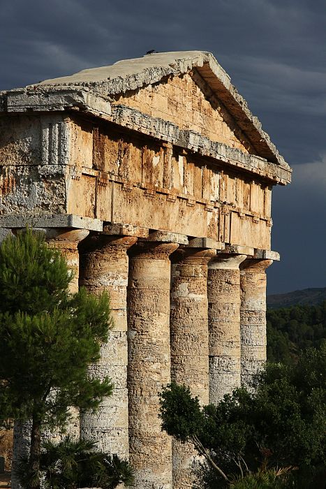 Tempio di Segesta (part.)