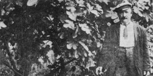 1910: Amato Tassa e quel fico gigante di Campania nel cuore di Washington