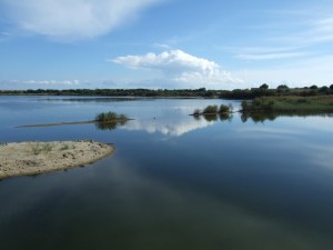 Scorcio della Riserva Naturale Saline di Priolo - Ph. Salvo Cannizzaro | CCBY-SA3.0