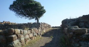 Il sito fenicio-punico di Monte Sirai, in Sardegna. Ultima scoperta: la tomba di una bambina del V secolo a.C.