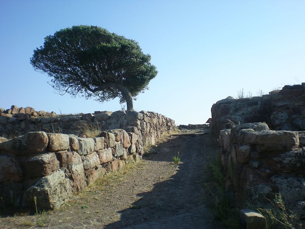 Sardegna - Uno scorcio del sito archeologico di Monte Sirai, Carbonia (Carbonia-Iglesias)
