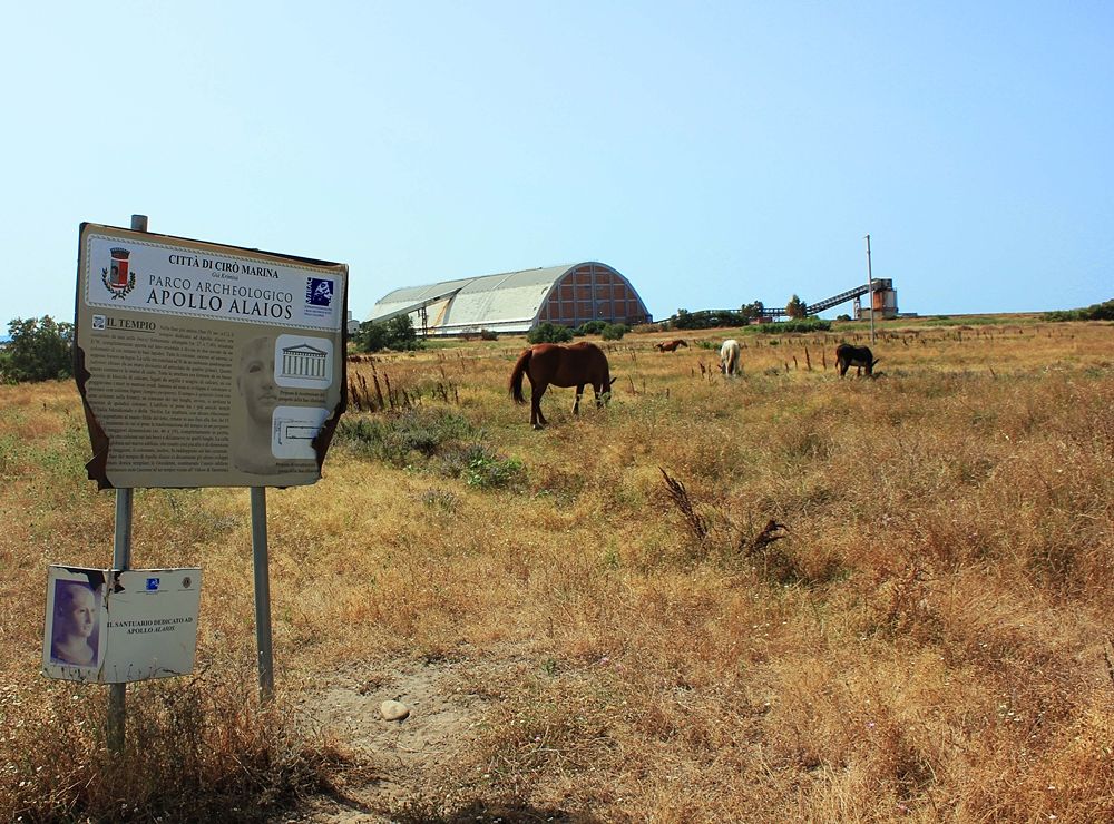 Il parco archeologico di Apollo Alaios, a Cirò, ridotto ad un pascolo per cavalli - Ph. Silvio Gatto